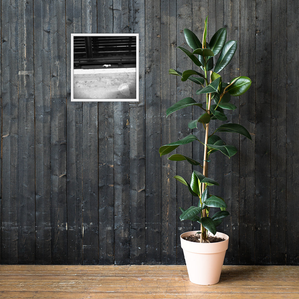 Lost Doll (Framed)